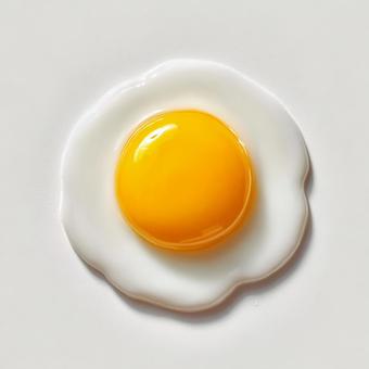 新鮮な卵、朝食の準備 新鮮な卵、朝食の準備の写真