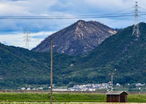 山火事のあと〜岡山市南区 山火事のあと〜岡山市南区 山林火災,林野火災,自然災害の写真素材