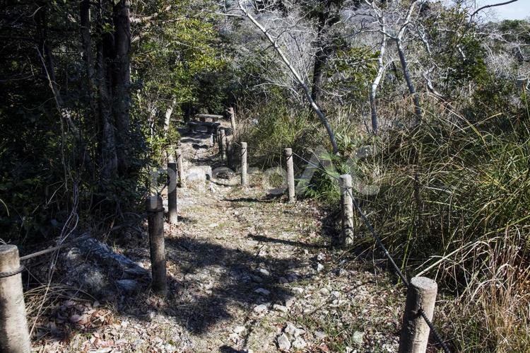 藤七原湿地9（田原市） 藤七原,湿地,衣笠山の写真素材