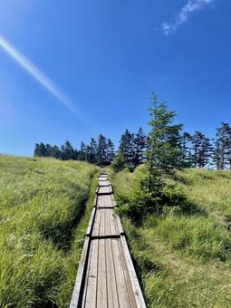 夏の美ヶ原、青空と続く道 夏の美ヶ原、青空と続く道 長野県,美ヶ原高原,夏の写真素材