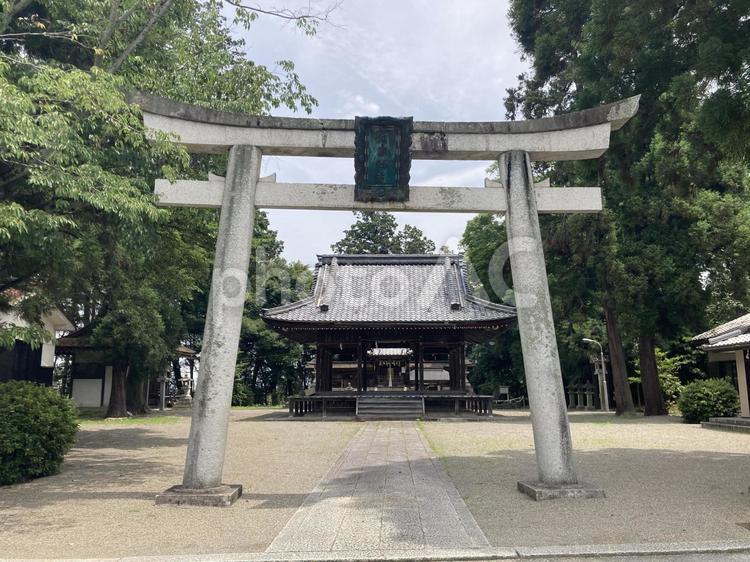 滋賀県の河瀬神社 河瀬神社,滋賀県,滋賀の写真素材