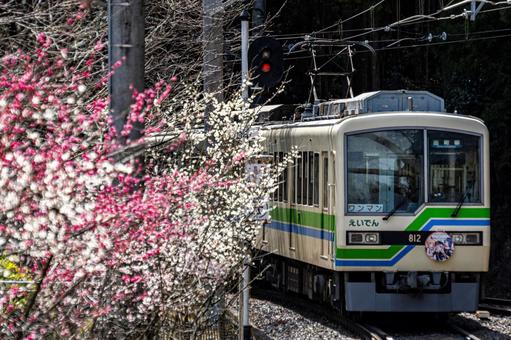 Photo, rui shan electric iron, flower peach, eizan train, 