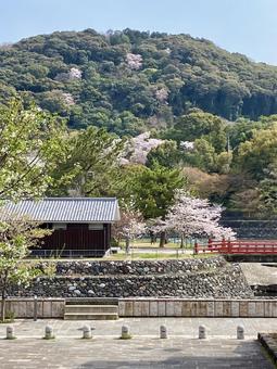 春の大吉山 春の大吉山 宇治,宇治川,春の写真素材