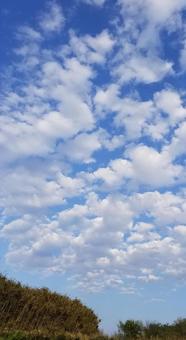 空模様 空模様の写真
