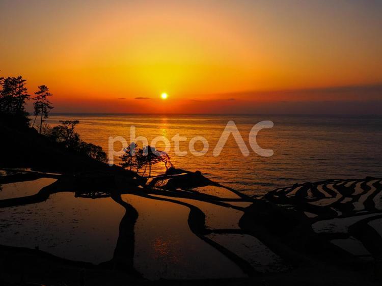 白米千枚田、夕暮れ 白米千枚田,夕焼け,夕日の写真素材
