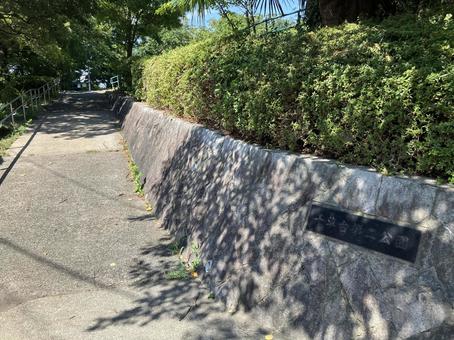 横浜市青葉区の千草台第二公園 横浜市青葉区の千草台第二公園 千草台第二公園,千草台,藤が丘の写真素材