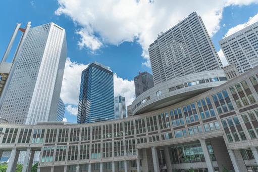 東京都議会議事堂と西新宿の高層ビル群 西新宿,東京都庁,東京都議会議事堂の写真素材