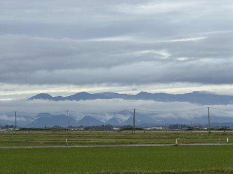 秋の朝もやの写真