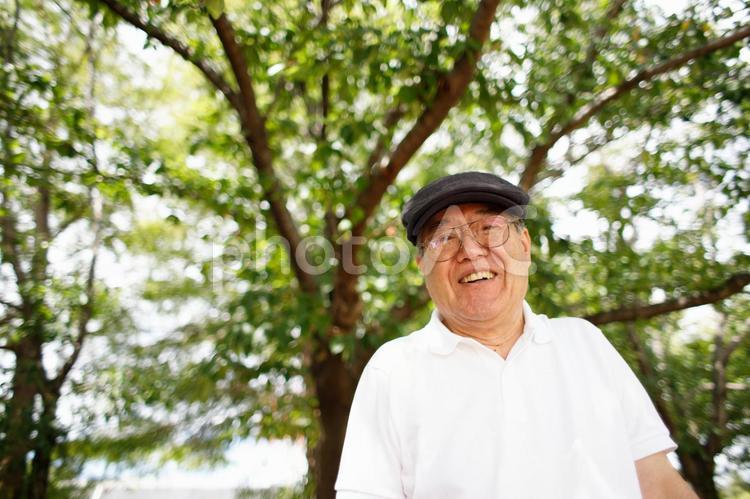 緑の中で微笑む男性 さわやか,シニア,男性の写真素材