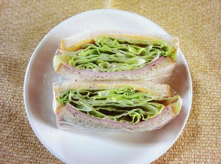 レタスサンド レタスサンドの写真