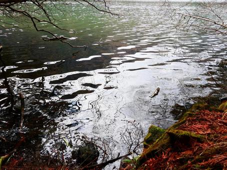 奥日光 湯の湖 奥日光 湯の湖 湖,水面,自然の写真素材