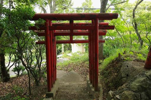 八幡浜市　愛宕山王照院　鳥居と遊歩道 愛宕山王照院,愛宕山,神社の写真素材