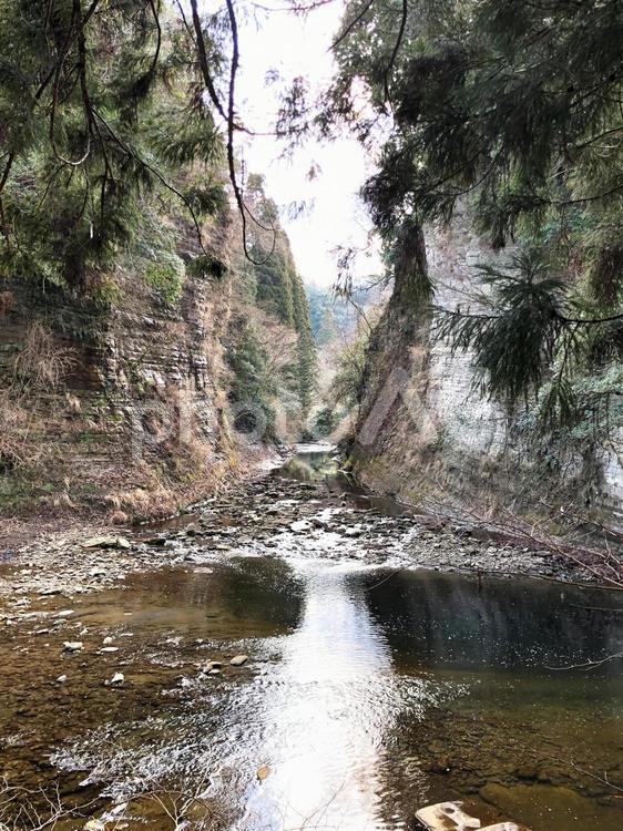 きれいな川 川,自然,きれいの写真素材