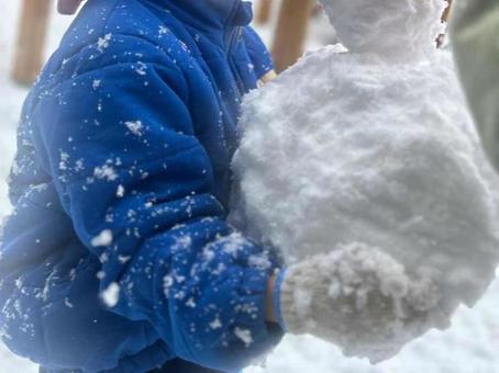 雪だるまを作って遊ぶ幼稚園児 雪だるまを作って遊ぶ幼稚園児の写真