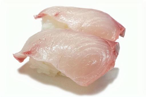 ブリの握り寿司 鮨,寿司,ブリの写真素材