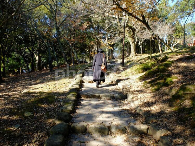奈良公園を散策する女性の後姿 古都,奈良,奈良公園の写真素材