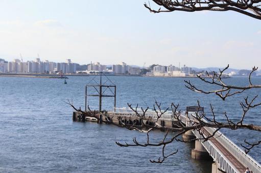 猿島 桟橋 猿島 桟橋の写真