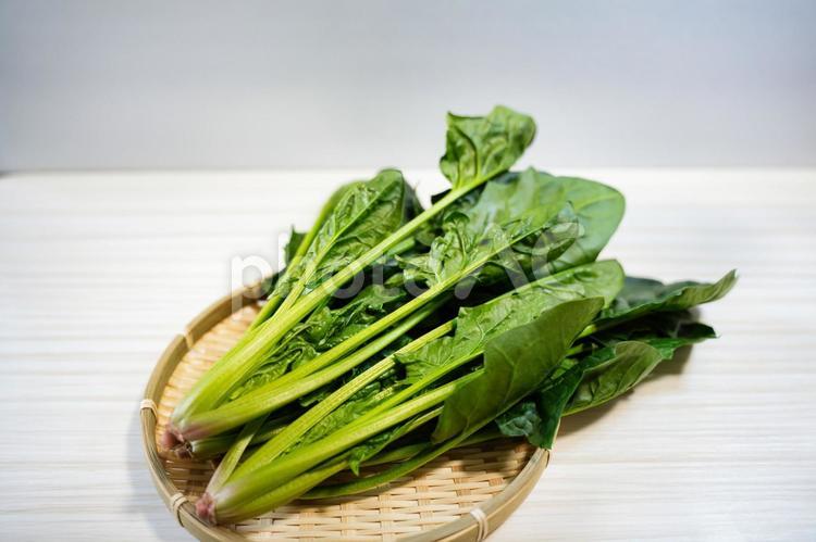 栄養豊富なほうれん草 ほうれん草,ホウレンソウ,緑黄色野菜の写真素材