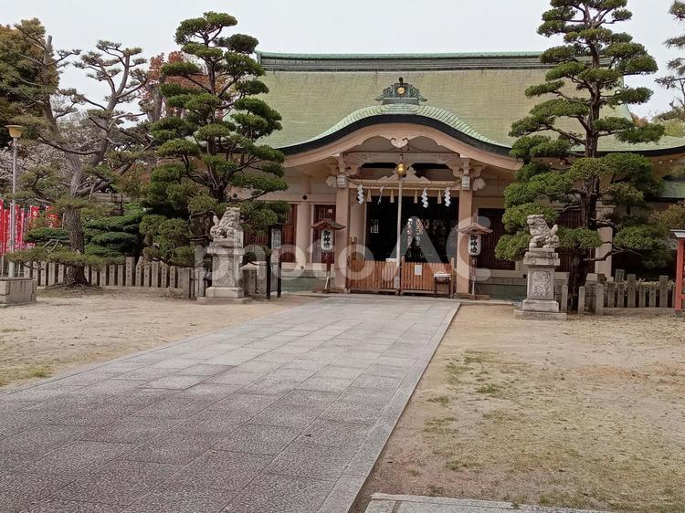 大阪府　大江神社　社殿 大江神社,大阪府,阪神タイガースの写真素材