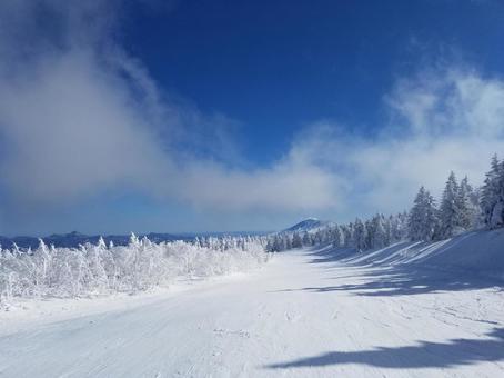 照片, 雪山, 滑雪场, 滑雪, 