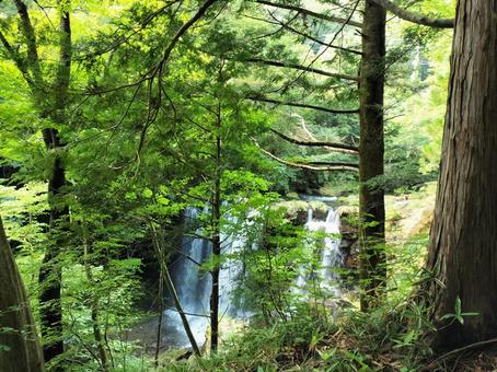 那須の乙女の滝 那須の乙女の滝 乙女の滝,那須,滝の写真素材
