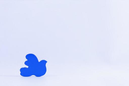 Photo, bird, colorful, piece, 