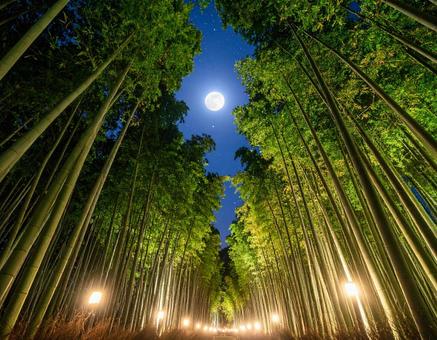 七夕の夜、月明かりに照らされる竹林と星空 七夕の夜、月明かりに照らされる竹林と星空の写真