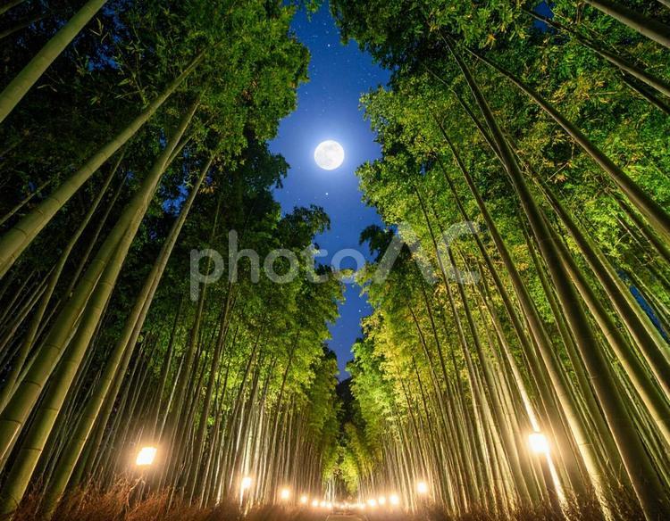 七夕の夜、月明かりに照らされる竹林と星空 七夕,月夜,満月の写真素材