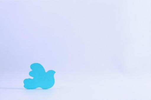 Photo, bird, colorful, piece, 