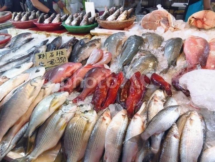 魚市場での新鮮な漁獲量 海,食べ物,魚介類の写真素材