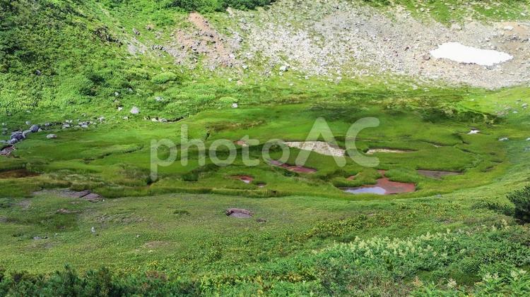 赤い池塘（血の池）② 池塘,赤い水,湿原の写真素材