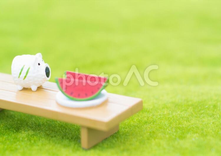 夏のイメージ 夏のイメージ,夏休み,涼しいの写真素材