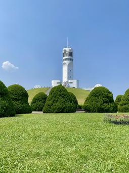 シンボルタワーと芝生 横浜港シンボルタワー,本牧埠頭,本牧の写真素材