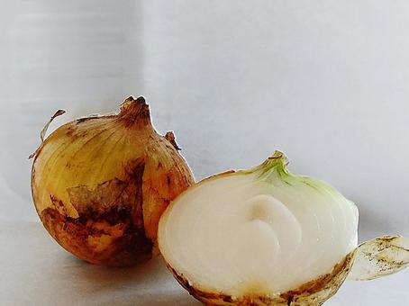 ホワイト背景にたまねぎの写真