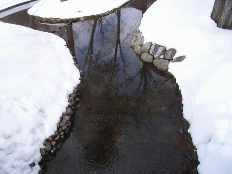 北大中央ローン 北大中央ローンの写真