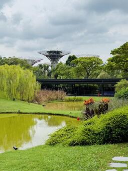 ガーデンズ・バイ・ザ・ベイ シンガポール,シンガポール観光,観光スポットの写真素材