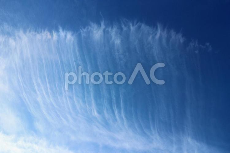 冬の空を彩る白く細い雲の群れ 雲,空,薄雲の写真素材