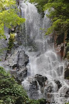 さわやかな滝1 さわやかな滝1の写真