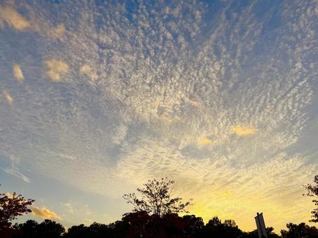 幻想的な秋の夕焼け空 空,サンセット,夕方の写真素材