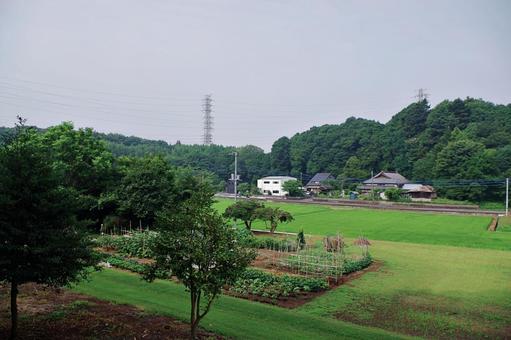 北関東の夏の田園風景 北関東の夏の田園風景 田園風景,水田,畑の写真素材