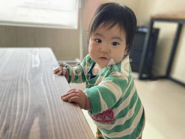 テーブルにつかまり立ちをしている赤ちゃん 赤ちゃん,つかまり立ち,かわいいの写真素材