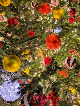 クリスマスイルミネーション クリスマス,イルミネーション,クリスマスツリーの写真素材