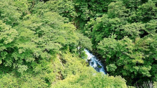栃木県日光市の涅槃の滝 栃木県日光市の涅槃の滝 涅槃の滝,滝,山の写真素材