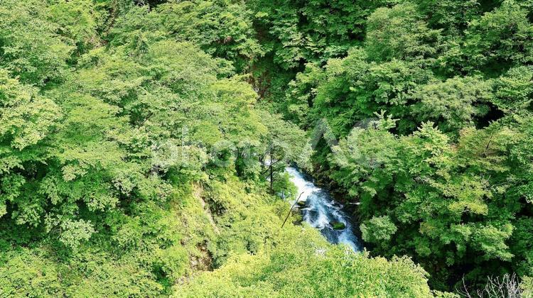栃木県日光市の涅槃の滝 涅槃の滝,滝,山の写真素材