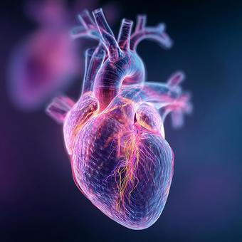 脈打つ心臓の抽象的な表現の写真