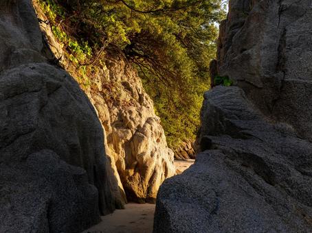 岩壁 岩肌,岩壁,探検の写真素材