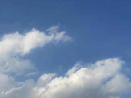 神田川9月:秋の青空 2025/9/26 神田川9月:秋の青空 2025/9/26の写真