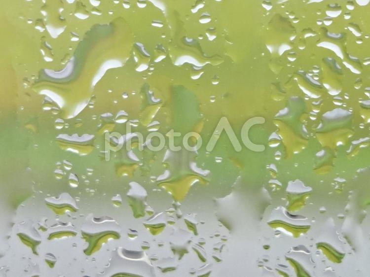 田園の雨粒 内装,窓,窓際の写真素材