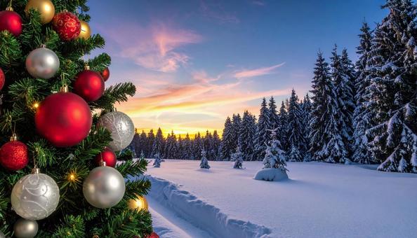 クリスマスツリーと雪景色 クリスマスツリーと雪景色の写真