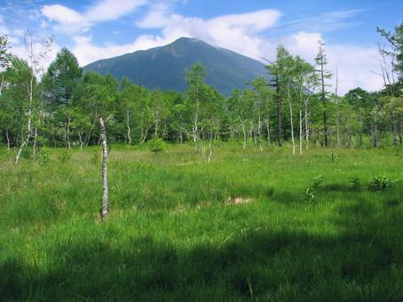 ラムサール条約湿地 奥日光 小田代ヶ原 小田代ヶ原,男体山,戦場ヶ原の写真素材